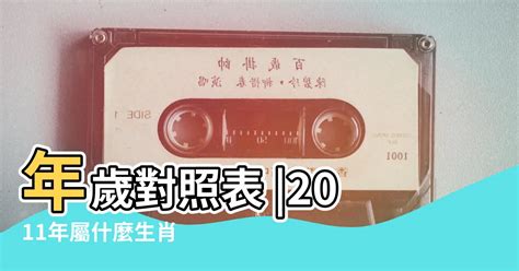 93年是什麼年|年歲對照表